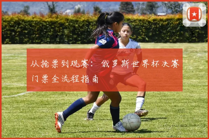 从抢票到观赛：俄罗斯世界杯决赛门票全流程指南